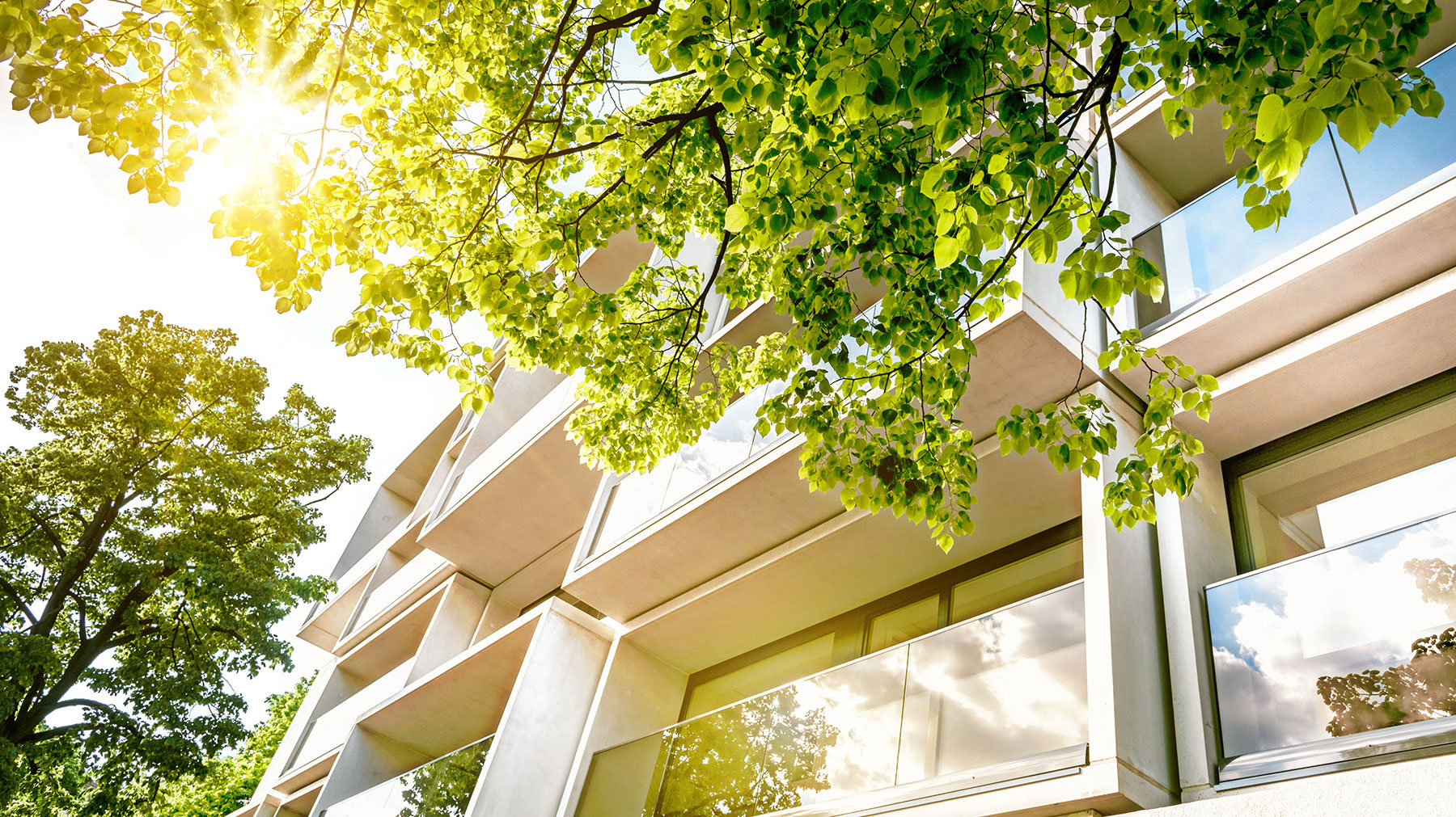 Cole Avenue Commons Condominium (Dallas) cover